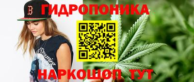 ECSTASY Чебоксары
