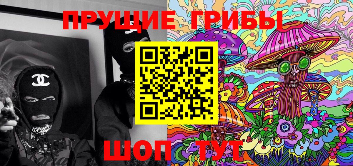 Псилоцибиновые грибы Psilocybe  Вход с VPN  Избербаш 